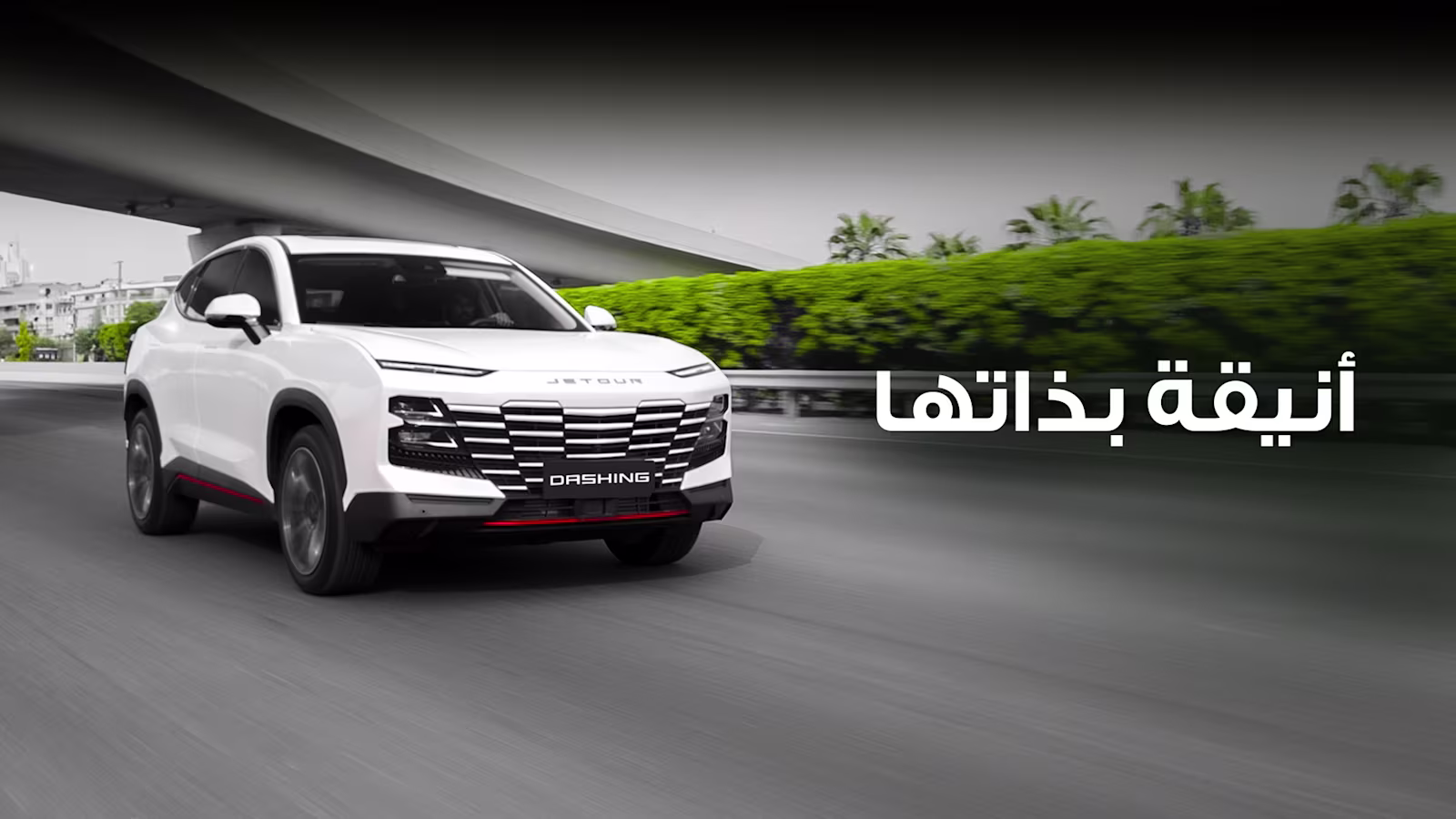 Dashing Arabic 