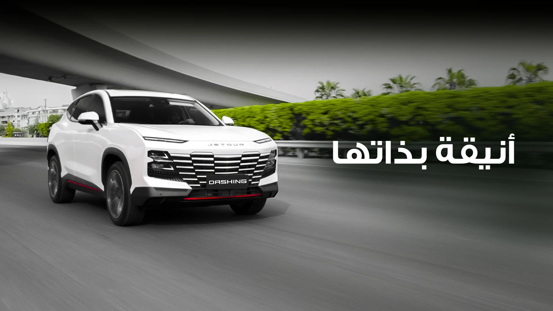 Dashing Arabic 